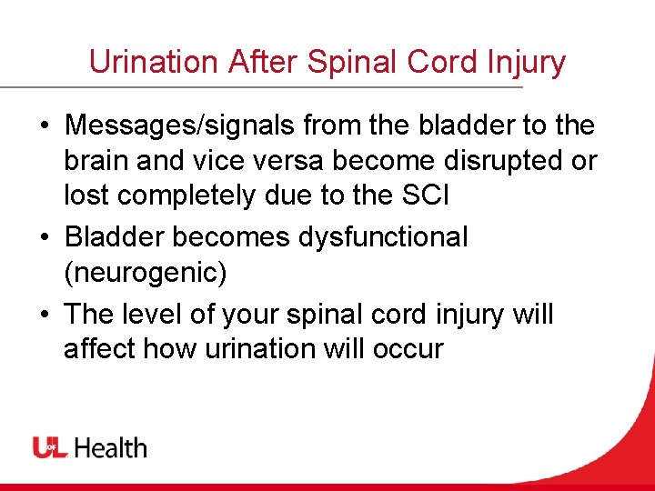 Urination After Spinal Cord Injury • Messages/signals from the bladder to the brain and