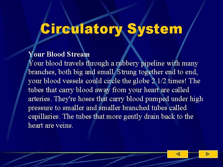 Circulatory System Your Blood Stream Your blood travels through a rubbery pipeline with many