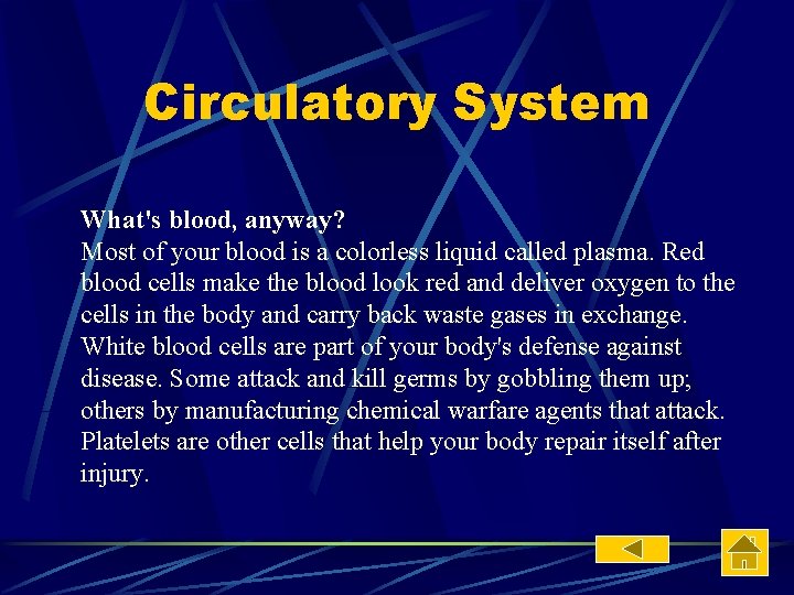 Circulatory System What's blood, anyway? Most of your blood is a colorless liquid called