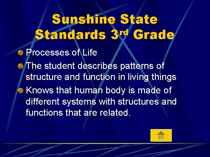 Sunshine State Standards 3 rd Grade Processes of Life The student describes patterns of