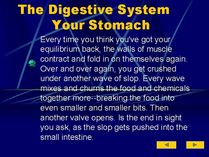 The Digestive System Your Stomach Every time you think you've got your equilibrium back,