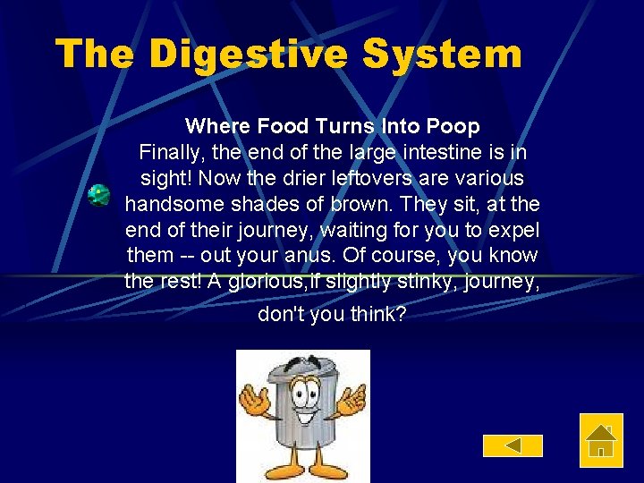 The Digestive System Where Food Turns Into Poop Finally, the end of the large