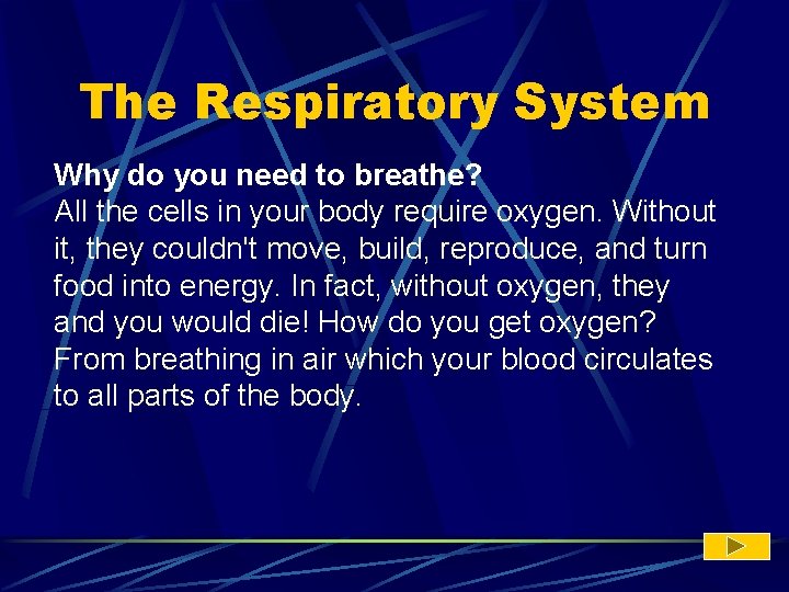 The Respiratory System Why do you need to breathe? All the cells in your