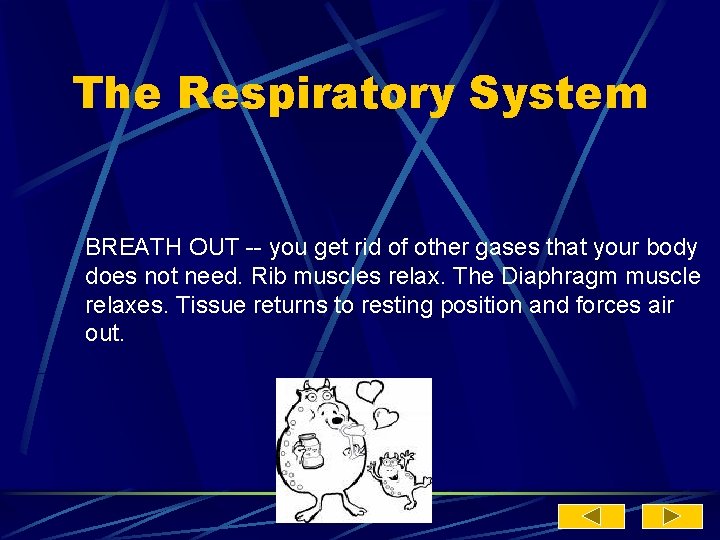 The Respiratory System BREATH OUT -- you get rid of other gases that your
