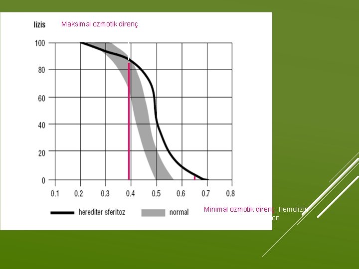 Maksimal ozmotik direnç; hemolizin tamamlandığı konsantrasyon Minimal ozmotik direnç; hemolizin başladığı konsantrasyon 