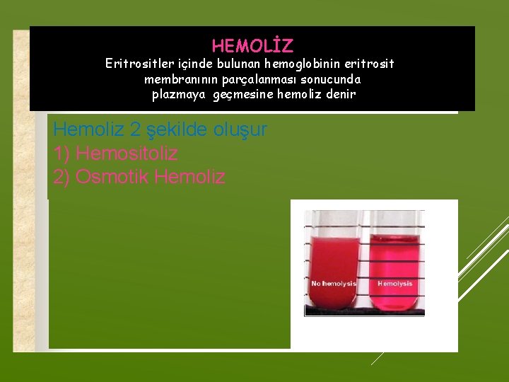 HEMOLİZ • Eritrosit zarının yırtılması sonucunda, Hb molekülünün Eritrositler içinde bulunan hemoglobinin eritrosit hücre