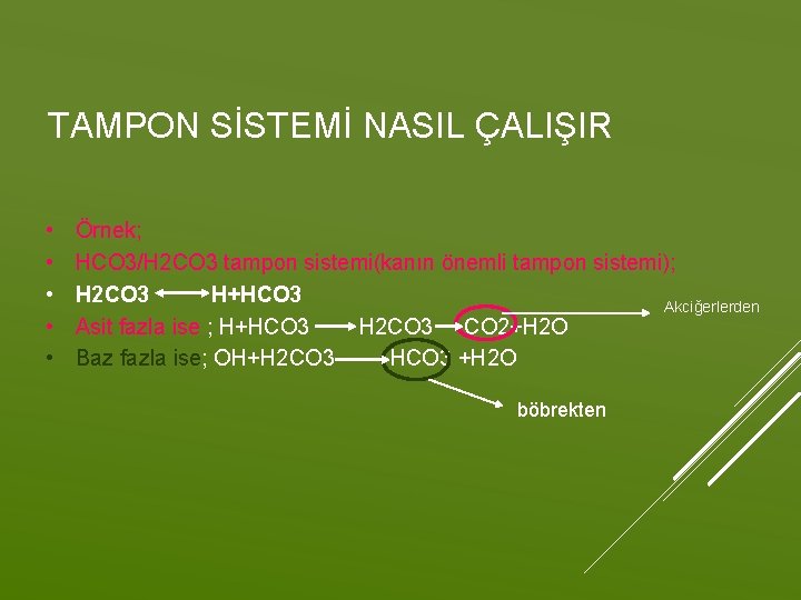 TAMPON SİSTEMİ NASIL ÇALIŞIR • • • Örnek; HCO 3/H 2 CO 3 tampon