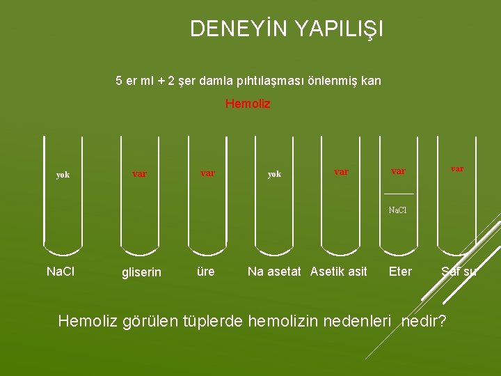 DENEYİN YAPILIŞI 5 er ml + 2 şer damla pıhtılaşması önlenmiş kan Hemoliz yok