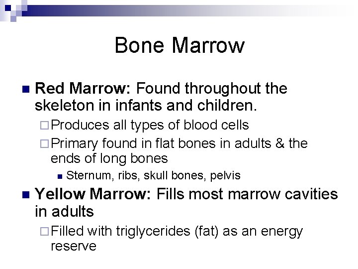 Bone Marrow n Red Marrow: Found throughout the skeleton in infants and children. ¨