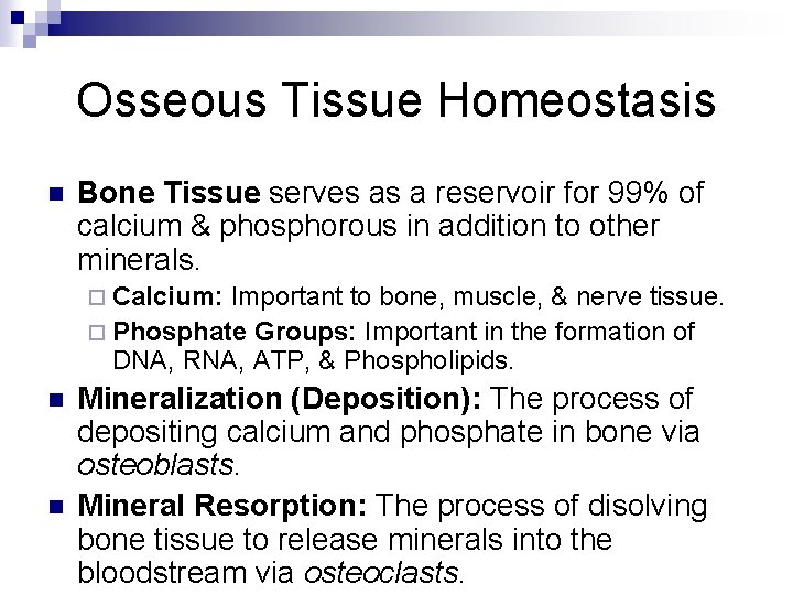 Osseous Tissue Homeostasis n Bone Tissue serves as a reservoir for 99% of calcium