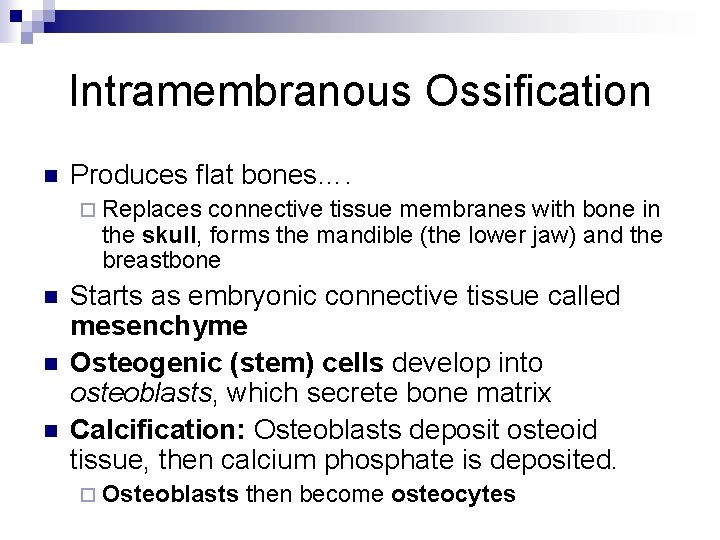 Intramembranous Ossification n Produces flat bones…. ¨ Replaces connective tissue membranes with bone in