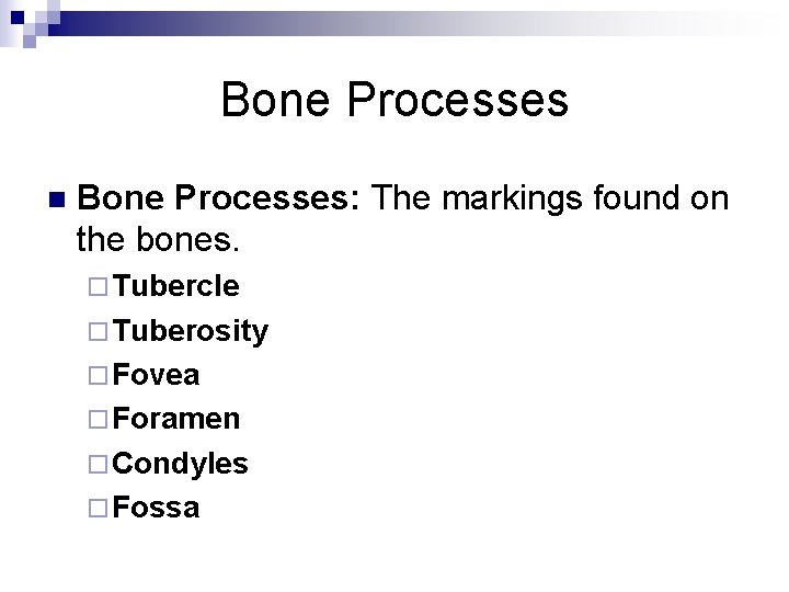 Bone Processes n Bone Processes: The markings found on the bones. ¨ Tubercle ¨