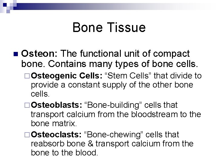 Bone Tissue n Osteon: The functional unit of compact bone. Contains many types of