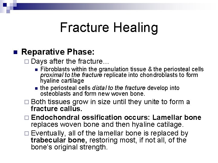 Fracture Healing n Reparative Phase: ¨ Days after the fracture… n Fibroblasts within the