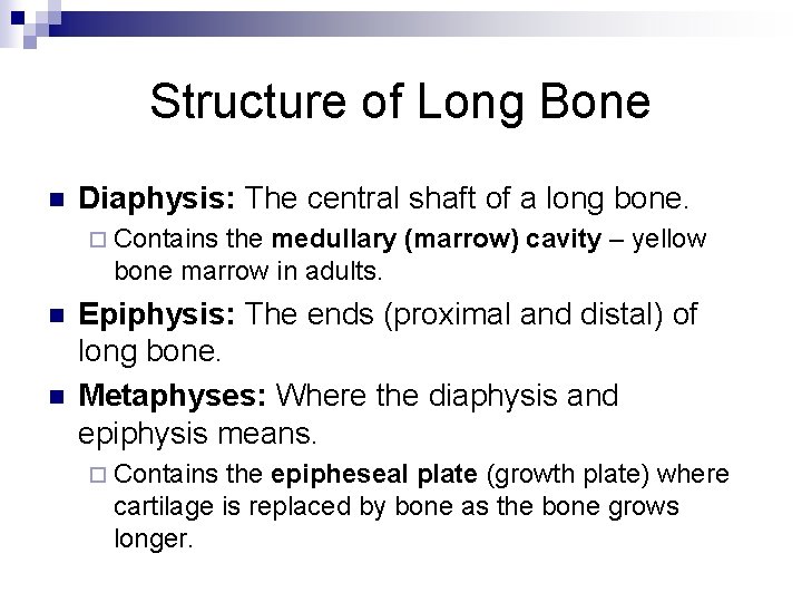 Structure of Long Bone n Diaphysis: The central shaft of a long bone. ¨