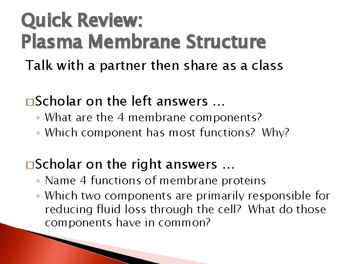 Quick Review: Plasma Membrane Structure Talk with a partner then share as a class