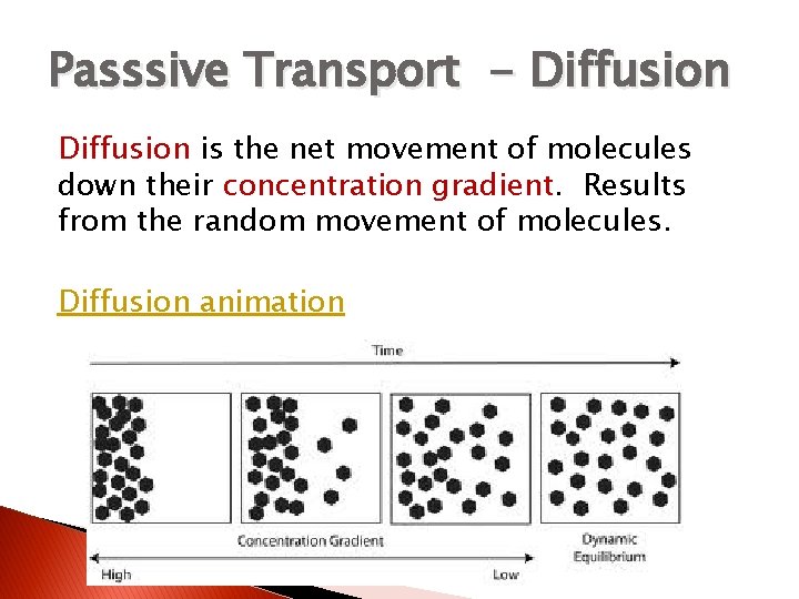 Passsive Transport - Diffusion is the net movement of molecules down their concentration gradient.