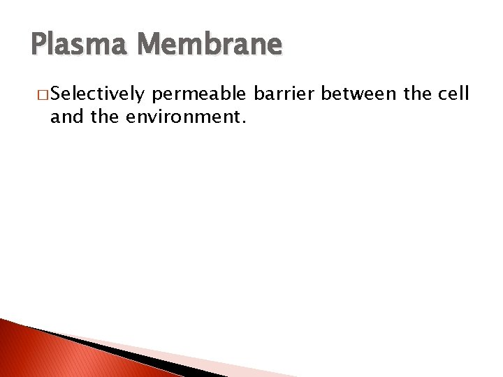Plasma Membrane � Selectively permeable barrier between the cell and the environment. 
