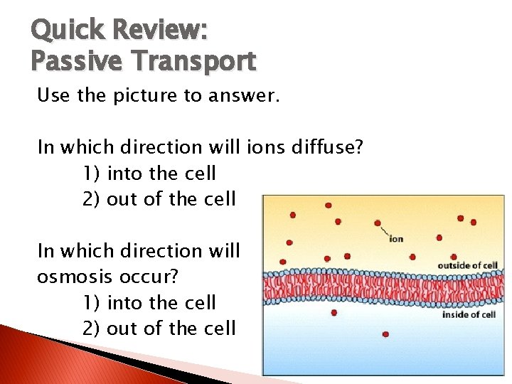 Quick Review: Passive Transport Use the picture to answer. In which direction will ions