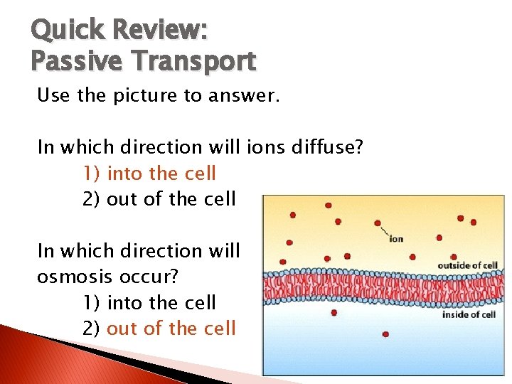 Quick Review: Passive Transport Use the picture to answer. In which direction will ions
