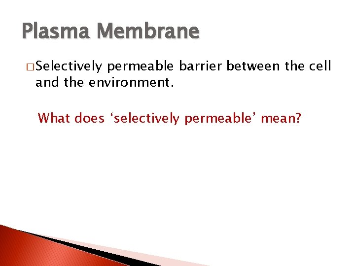 Plasma Membrane � Selectively permeable barrier between the cell and the environment. What does