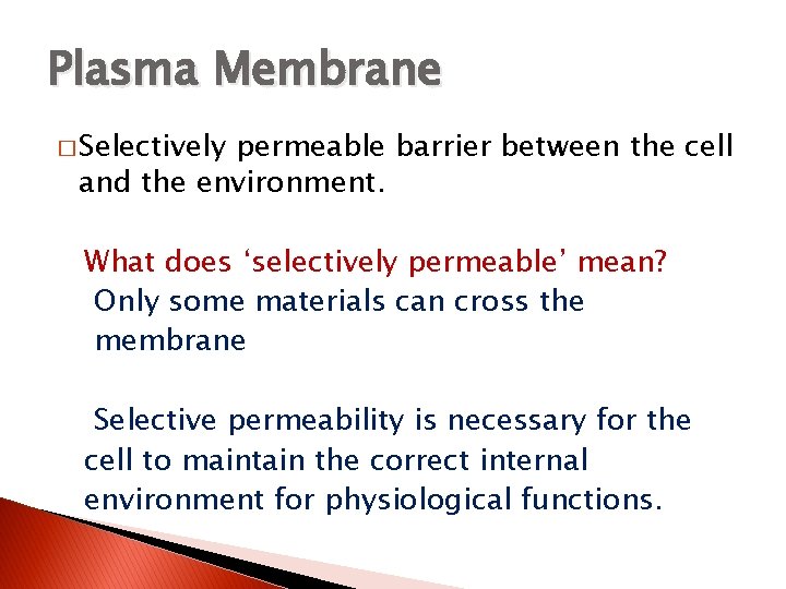 Plasma Membrane � Selectively permeable barrier between the cell and the environment. What does