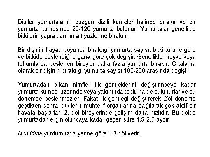 Dişiler yumurtalarını düzgün dizili kümeler halinde bırakır ve bir yumurta kümesinde 20 -120 yumurta