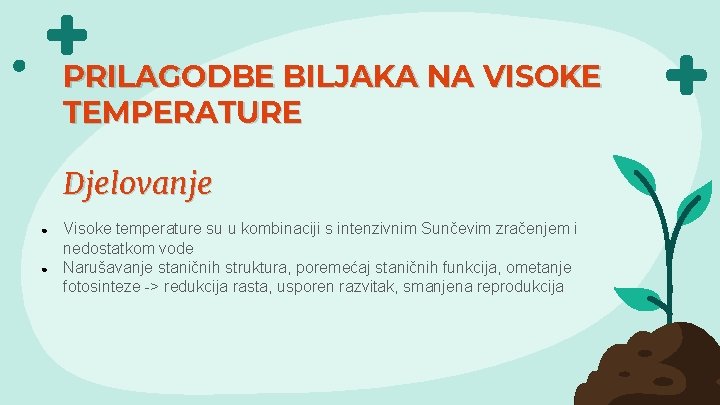 PRILAGODBE BILJAKA NA VISOKE TEMPERATURE Djelovanje ● ● Visoke temperature su u kombinaciji s