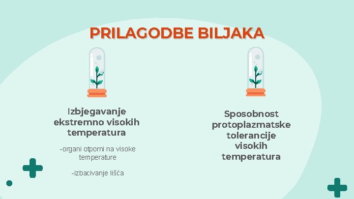 PRILAGODBE BILJAKA Izbjegavanje ekstremno visokih temperatura organi otporni na visoke temperature izbacivanje lišća Sposobnost