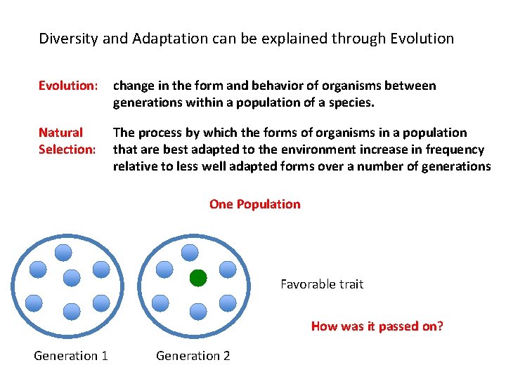 Diversity and Adaptation can be explained through Evolution: change in the form and behavior