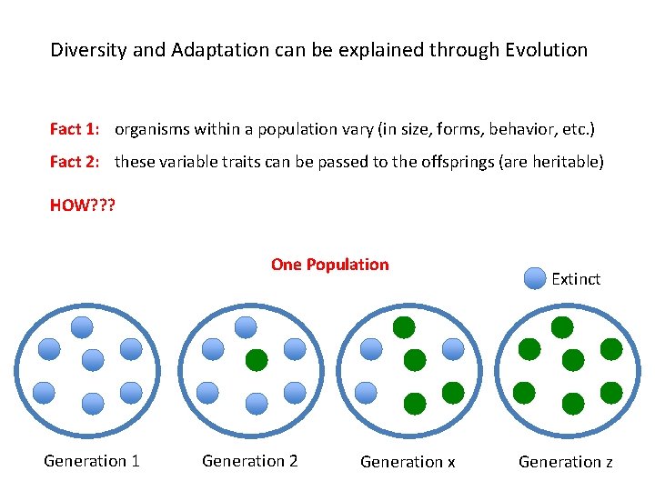 Diversity and Adaptation can be explained through Evolution Fact 1: organisms within a population