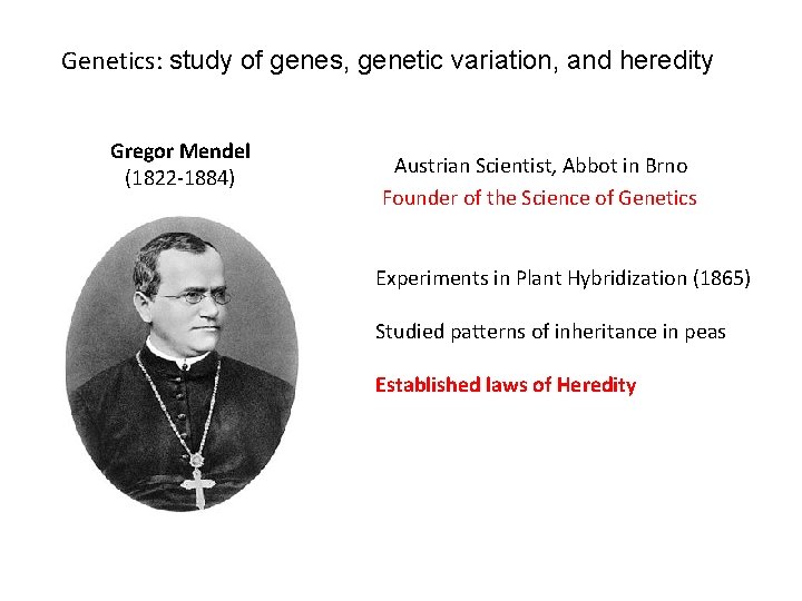 Genetics: study of genes, genetic variation, and heredity Gregor Mendel (1822 -1884) Austrian Scientist,