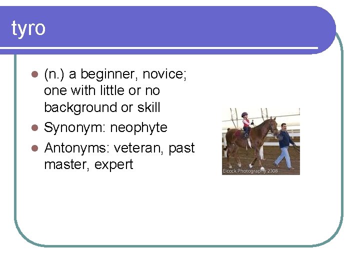 tyro (n. ) a beginner, novice; one with little or no background or skill