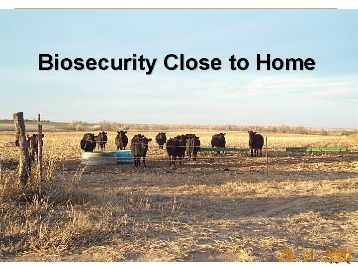 Biosecurity Close to Home 