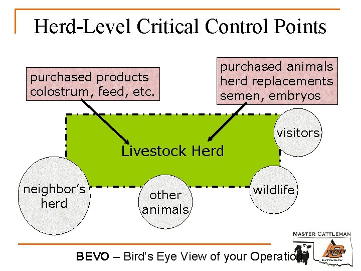 Herd-Level Critical Control Points purchased products colostrum, feed, etc. purchased animals herd replacements semen,