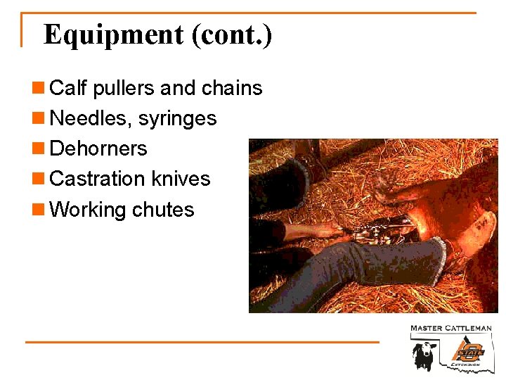 Equipment (cont. ) n Calf pullers and chains n Needles, syringes n Dehorners n