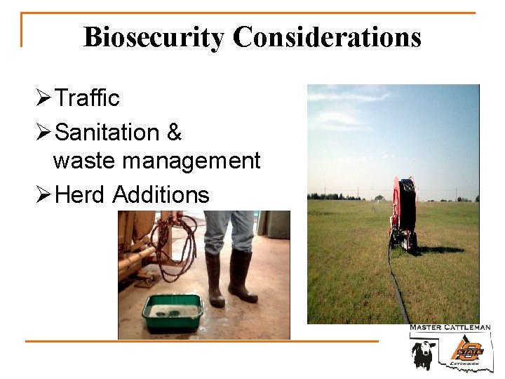 Biosecurity Considerations ØTraffic ØSanitation & waste management ØHerd Additions 