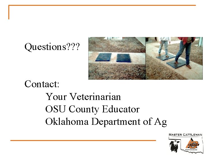 Questions? ? ? Contact: Your Veterinarian OSU County Educator Oklahoma Department of Ag 