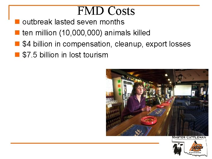 FMD Costs n outbreak lasted seven months n ten million (10, 000) animals killed