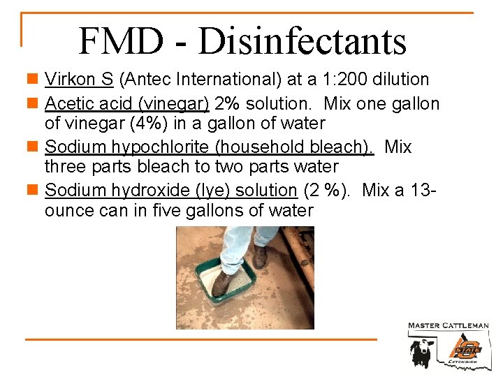FMD - Disinfectants n Virkon S (Antec International) at a 1: 200 dilution n