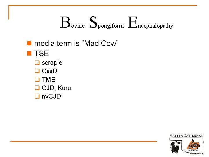 B ovine S pongiform n media term is “Mad Cow” n TSE q scrapie