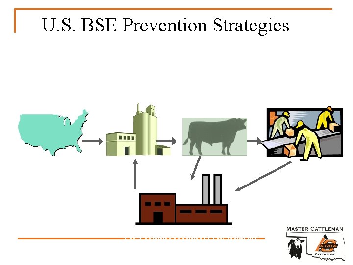 U. S. BSE Prevention Strategies Federal government inspects borders FDA banned the use of