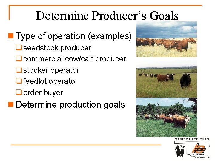 Determine Producer’s Goals n Type of operation (examples) q seedstock producer q commercial cow/calf