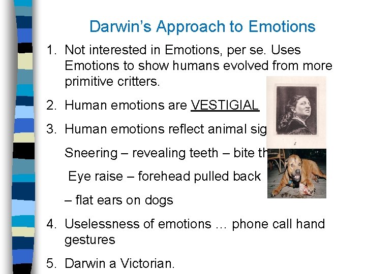 Darwin’s Approach to Emotions 1. Not interested in Emotions, per se. Uses Emotions to