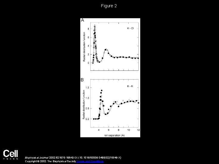 Figure 2 Biophysical Journal 2002 821975 -1984 DOI: (10. 1016/S 0006 -3495(02)75546 -X) Copyright