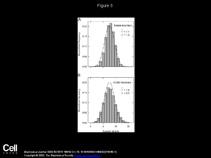 Figure 3 Biophysical Journal 2002 821975 -1984 DOI: (10. 1016/S 0006 -3495(02)75546 -X) Copyright