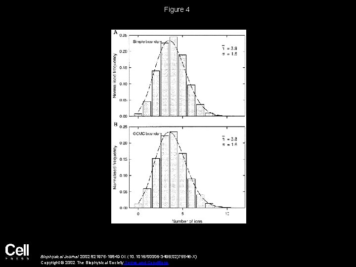 Figure 4 Biophysical Journal 2002 821975 -1984 DOI: (10. 1016/S 0006 -3495(02)75546 -X) Copyright