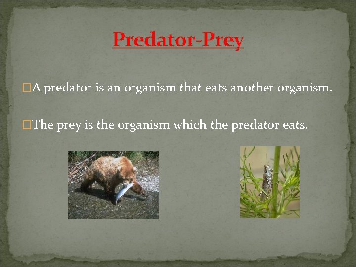 Predator-Prey �A predator is an organism that eats another organism. �The prey is the
