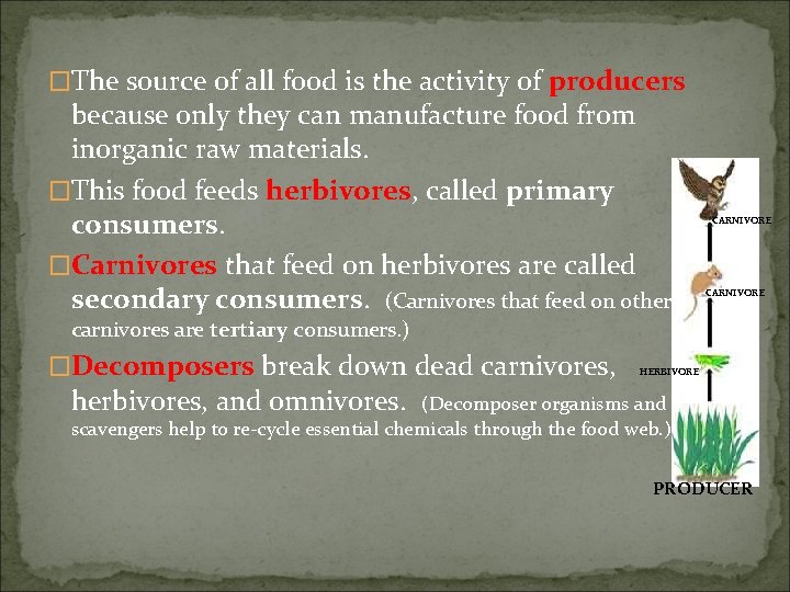 �The source of all food is the activity of producers because only they can