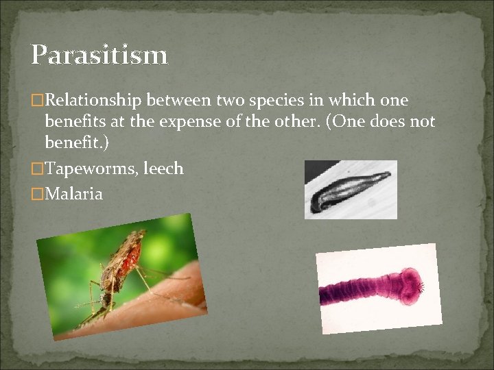 Parasitism �Relationship between two species in which one benefits at the expense of the